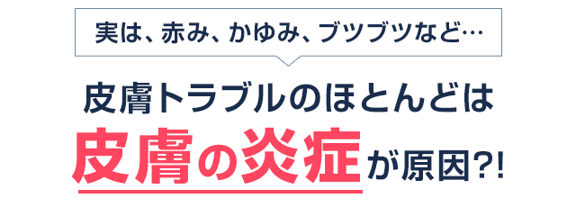 実は、赤み、かゆみ、ブツブツなど… 皮膚トラブルのほとんどは皮膚の炎症が原因?!