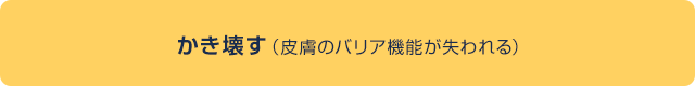 かき壊す（皮膚のバリア機能が失われる）