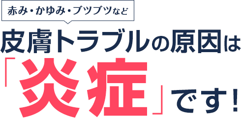赤み・かゆみ・ブツブツなど 皮膚トラブルの原因は「炎症」です！