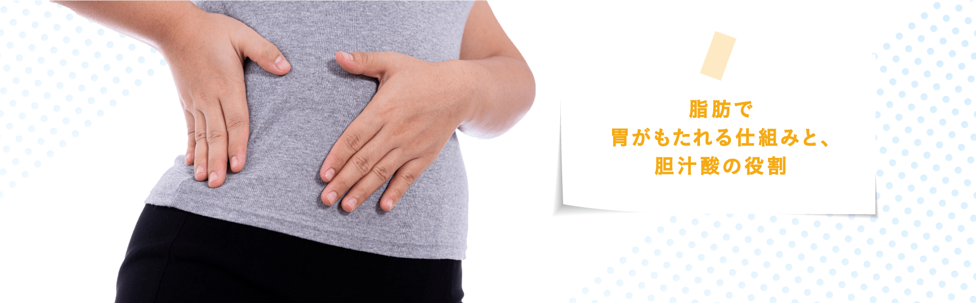 脂肪で胃がもたれる仕組みと、胆汁酸の役割